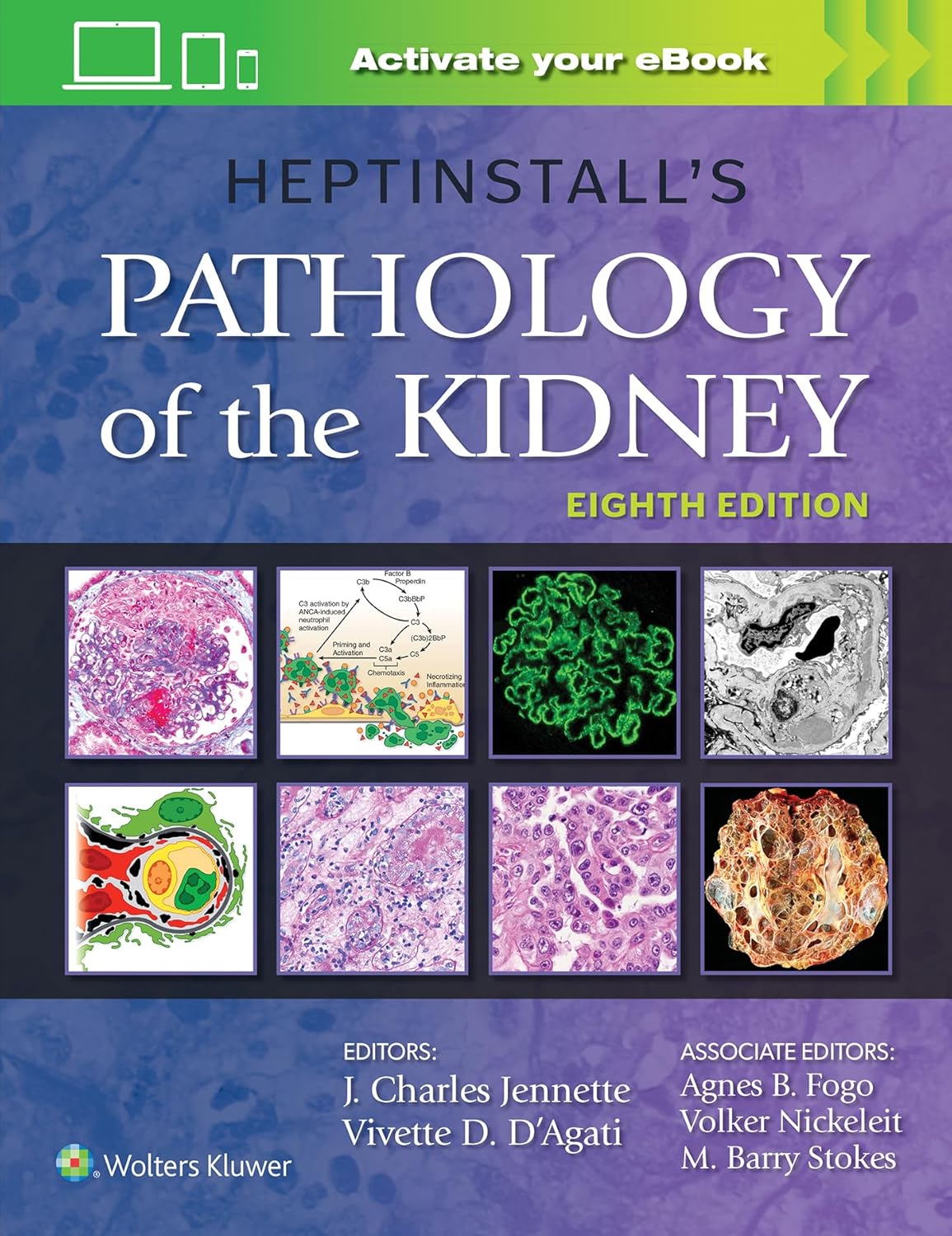 Heptinstall's Pathology of the Kidney 8th Edition